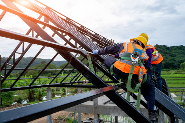 Best Roof Gutter Cleaning  in Cadiz, KY