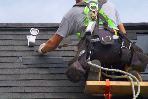 Best Metal Roofing Contractor  in Cadiz, KY