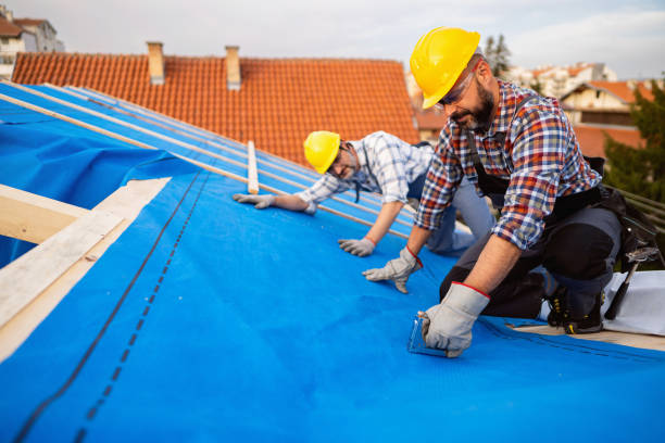 Best Emergency Roof Repair  in Cadiz, KY