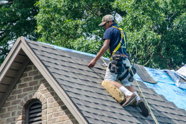 Best Roof Replacement Cost  in Cadiz, KY
